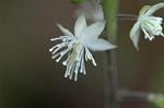 Dcim5983/DSC_7454
