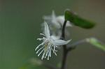 Dcim5983/DSC_7461