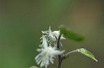 Dcim5983/DSC_7463