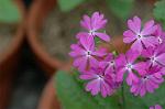 Dcim5983/DSC_7474