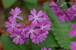 Dcim5983/DSC_7475