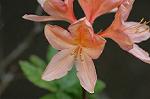 Dcim5983/DSC_7504