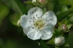 Dcim5983/DSC_7528