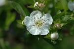 Dcim5983/DSC_7533