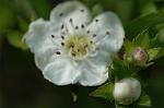 Dcim5983/DSC_7534