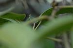 Dcim5983/DSC_7542