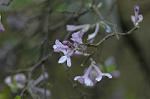 Dcim5984/DSC_7562