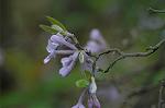 Dcim5984/DSC_7563
