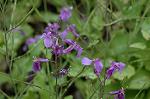 Dcim5984/DSC_7571