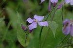 Dcim5984/DSC_7572