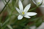 Dcim5984/DSC_7586