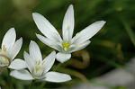 Dcim5984/DSC_7587