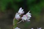 Dcim5984/DSC_7598