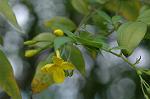 Dcim5984/DSC_7620