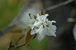 Dcim5984/DSC_7632