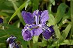 Dcim5984/DSC_7640