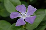 Dcim5984/DSC_7682