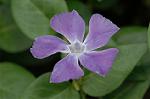 Dcim5984/DSC_7683