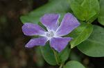Dcim5984/DSC_7684