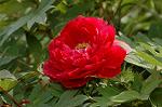 Dcim5985/DSC_7703