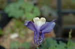 Dcim5985/DSC_7725