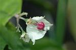 Dcim5985/DSC_7756