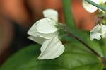 Dcim5985/DSC_7759