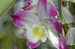 Dcim5985/DSC_7765
