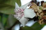 Dcim5985/DSC_7802