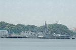 Dcim5988/DSC_7851