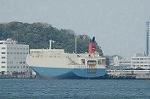 Dcim5988/DSC_7917