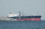 Dcim5988/DSC_7924