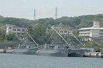 Dcim5989/DSC_7955