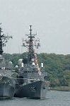 Dcim5989/DSC_7976