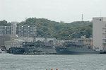 Dcim5989/DSC_7982