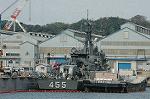 Dcim5989/DSC_8012