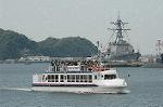Dcim5989/DSC_8033