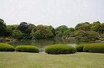 Dcim5995/DSC_5038