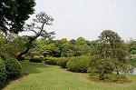 Dcim5995/DSC_5053