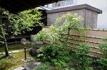 Dcim5997/DSC_5291