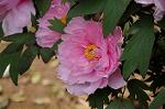 Dcim5998/DSC_5361