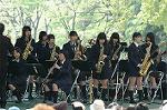 Dcim6003/DSC_8152