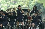 Dcim6003/DSC_8156