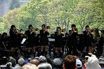 Dcim6007/DSC_5786