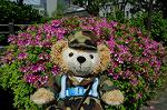 Dcim6007/DSC_5833