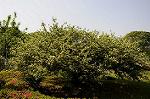 Dcim6008/DSC_5849