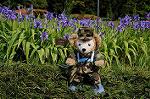 Dcim6008/DSC_5856