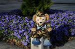Dcim6011/DSC_6138