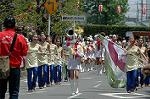 Dcim6013/DSC_8496
