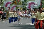 Dcim6013/DSC_8497
